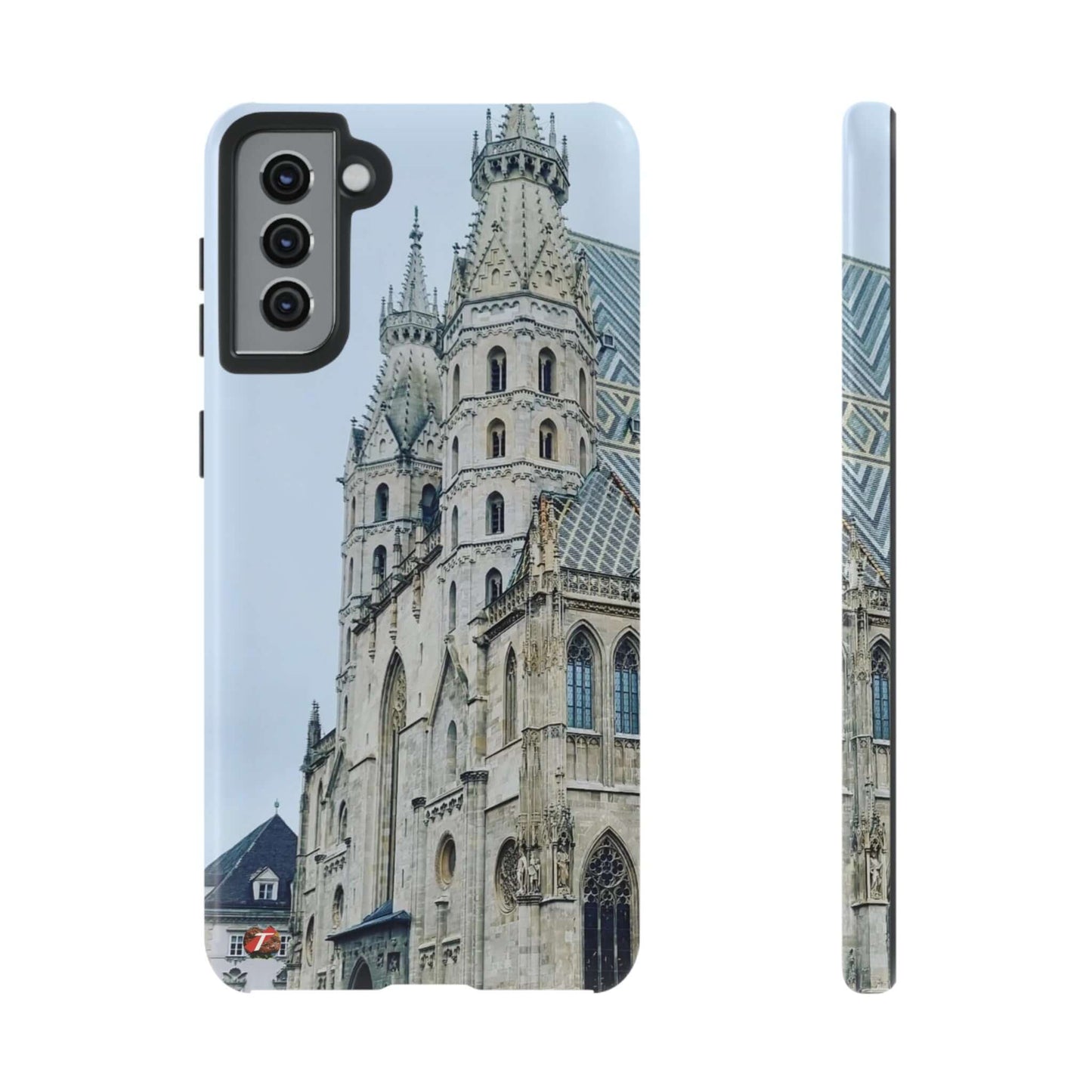 Catedral de San Esteban | Austria | Casos difíciles