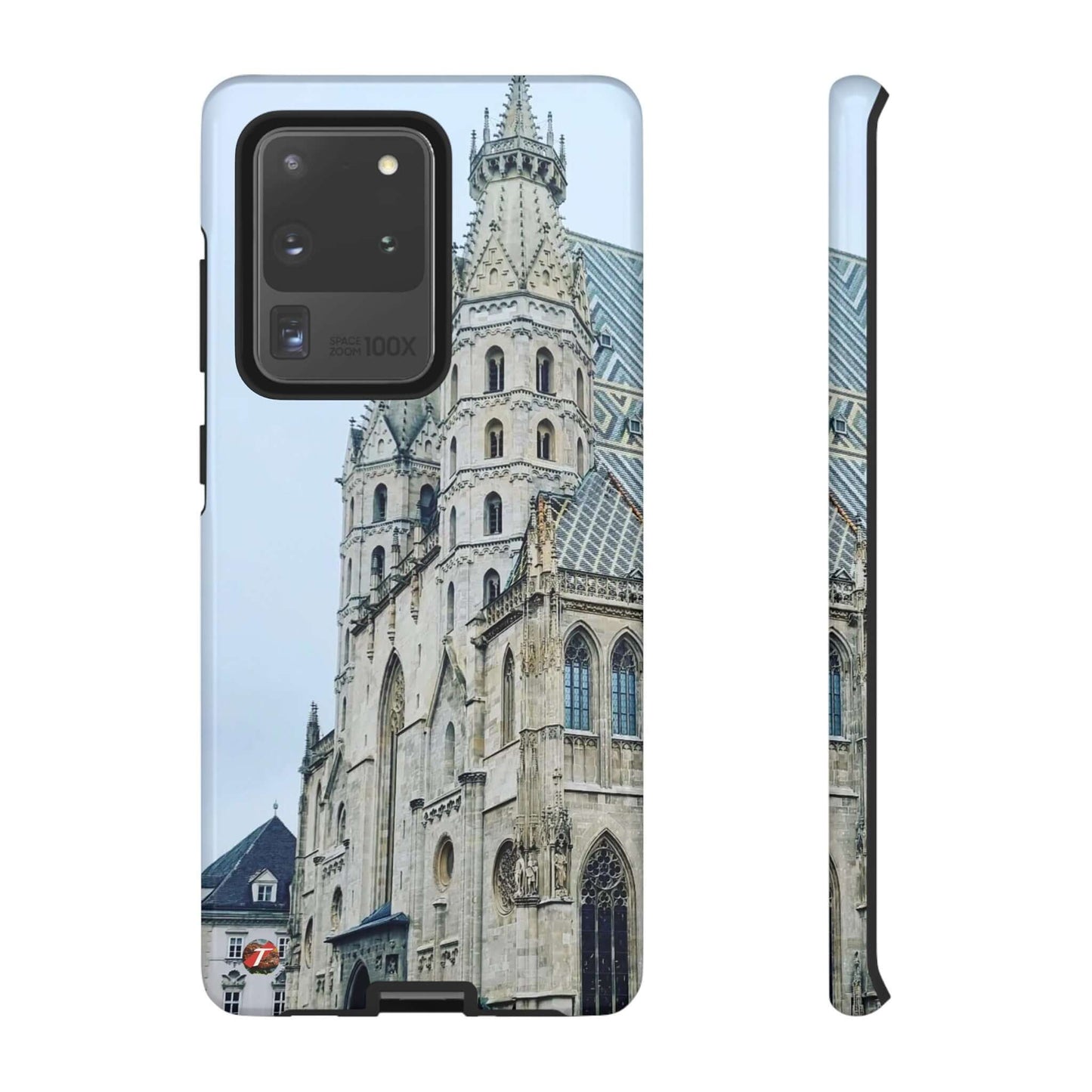 Catedral de San Esteban | Austria | Casos difíciles