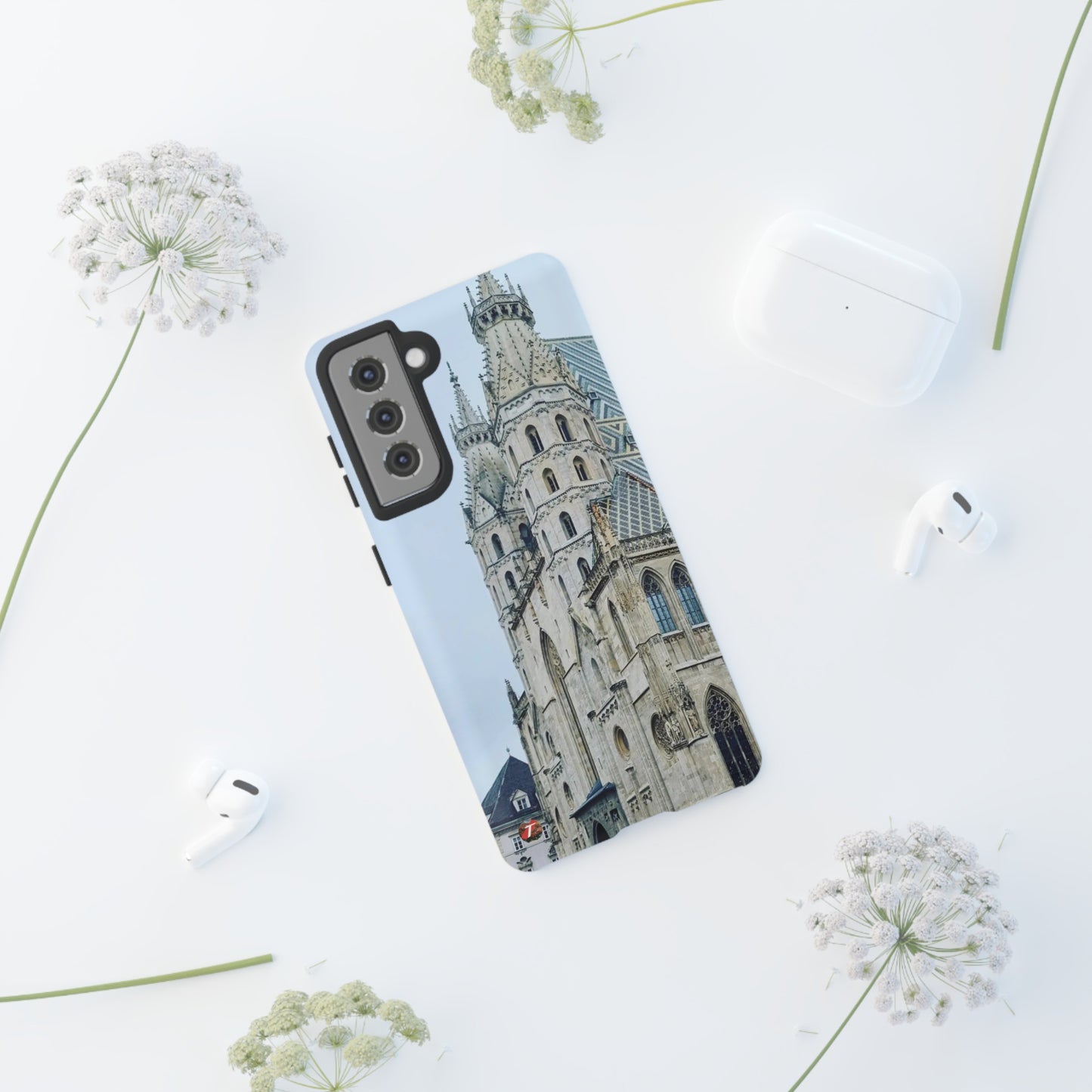 Catedral de San Esteban | Austria | Casos difíciles