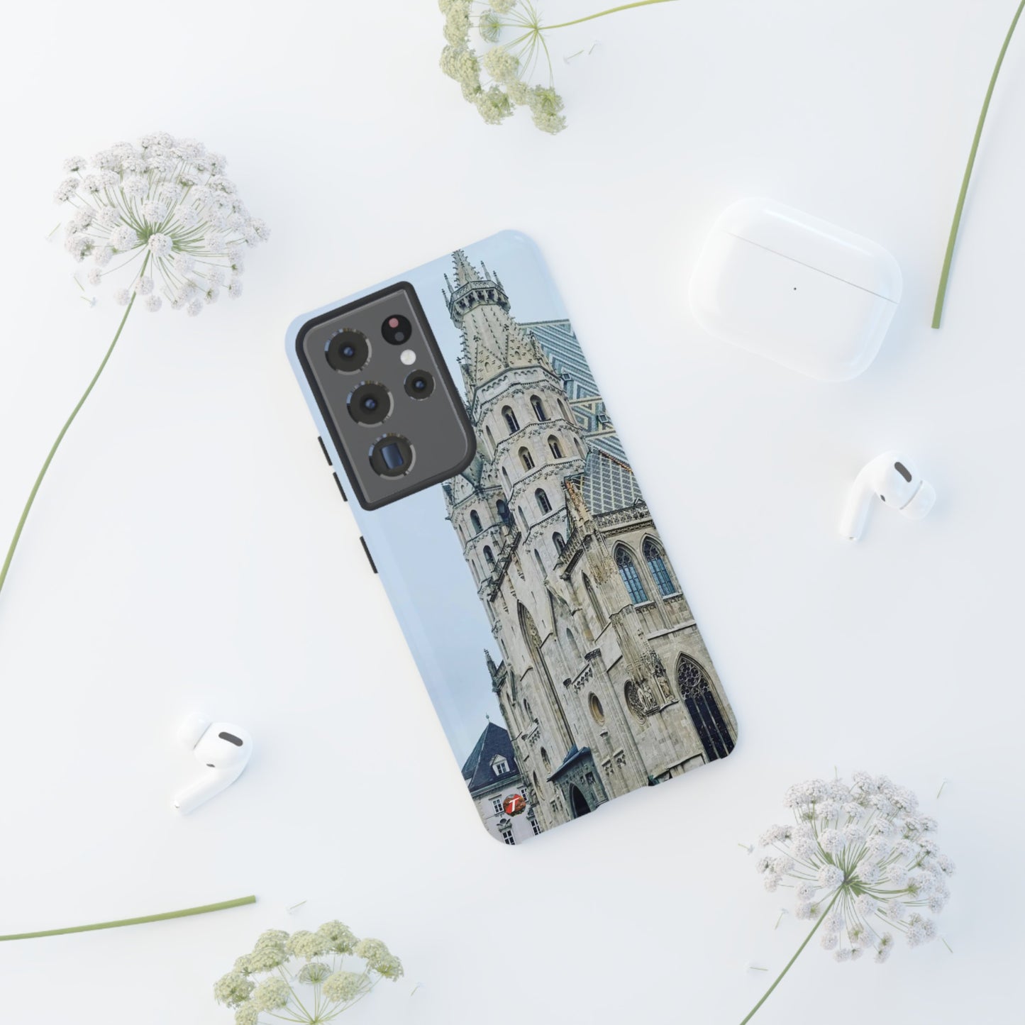 Catedral de San Esteban | Austria | Casos difíciles