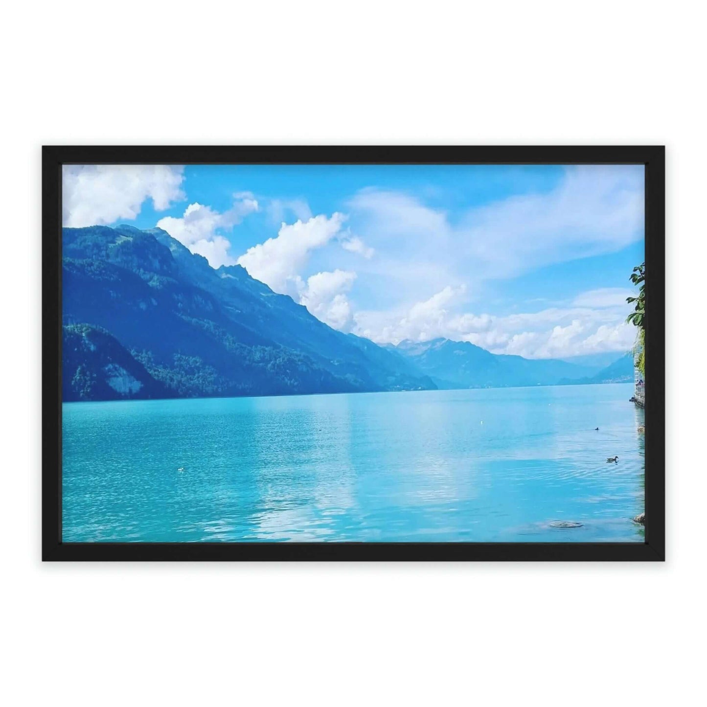Lake Brienz | Switzerland | Framed Poster - All sizes