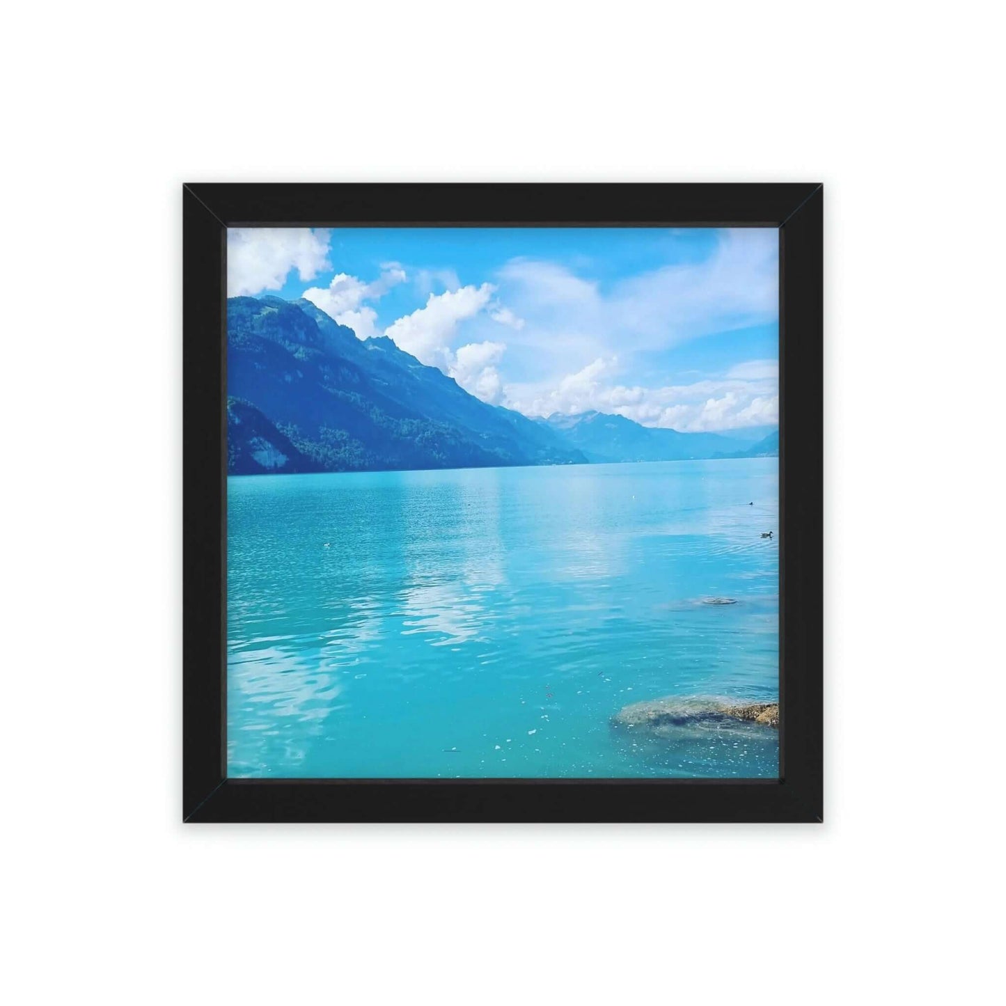 Lake Brienz | Switzerland | Framed Poster - All sizes
