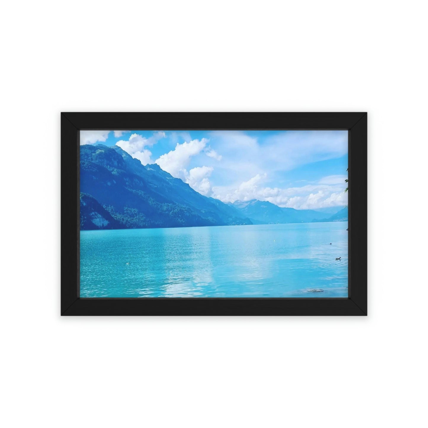 Lake Brienz | Switzerland | Framed Poster - All sizes