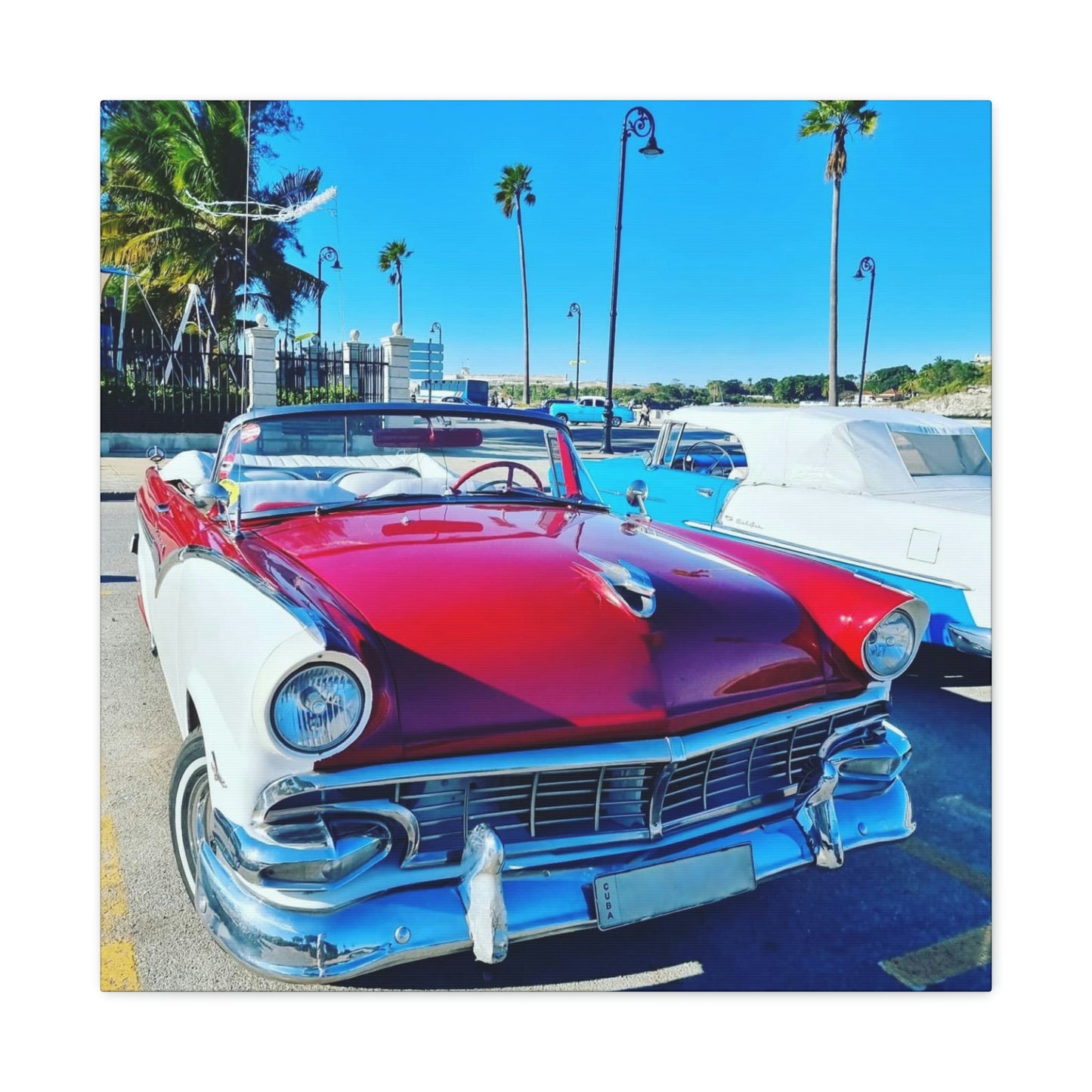 The Vehicle | Cuba | Canvas