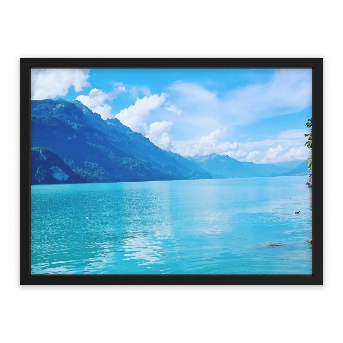 Lake Brienz | Switzerland | Framed Poster - All sizes