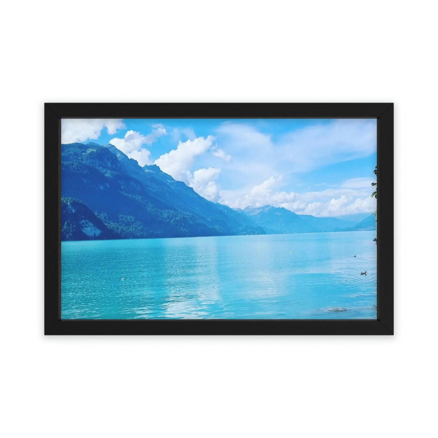 Lake Brienz | Switzerland | Framed Poster - All sizes