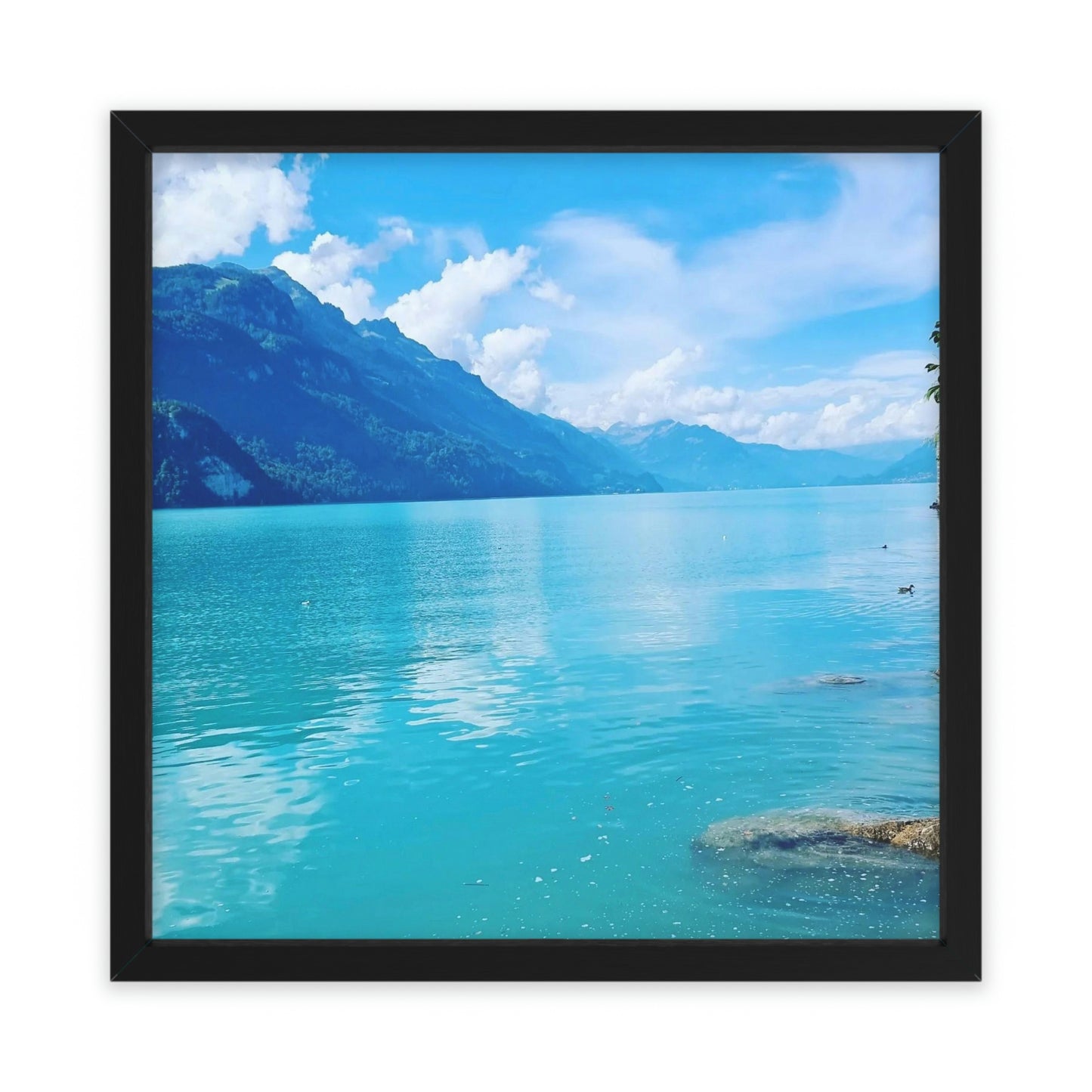 Lake Brienz | Switzerland | Framed Poster - All sizes
