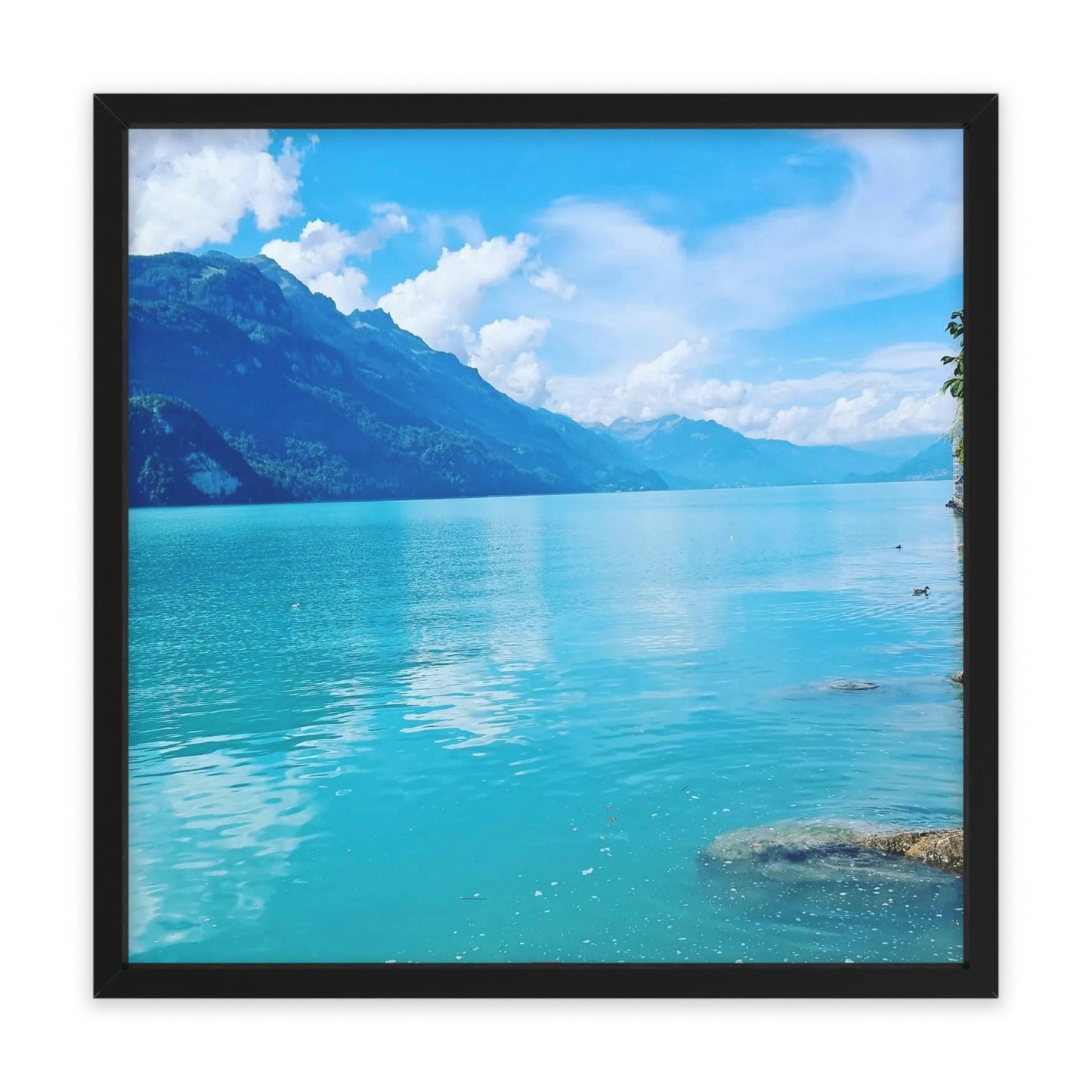 Lake Brienz | Switzerland | Framed Poster - All sizes