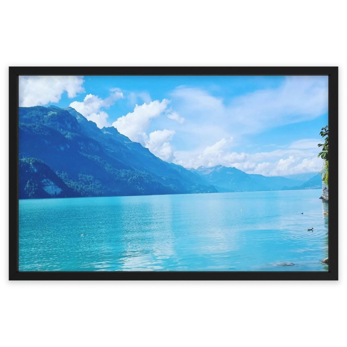 Lake Brienz | Switzerland | Framed Poster - All sizes