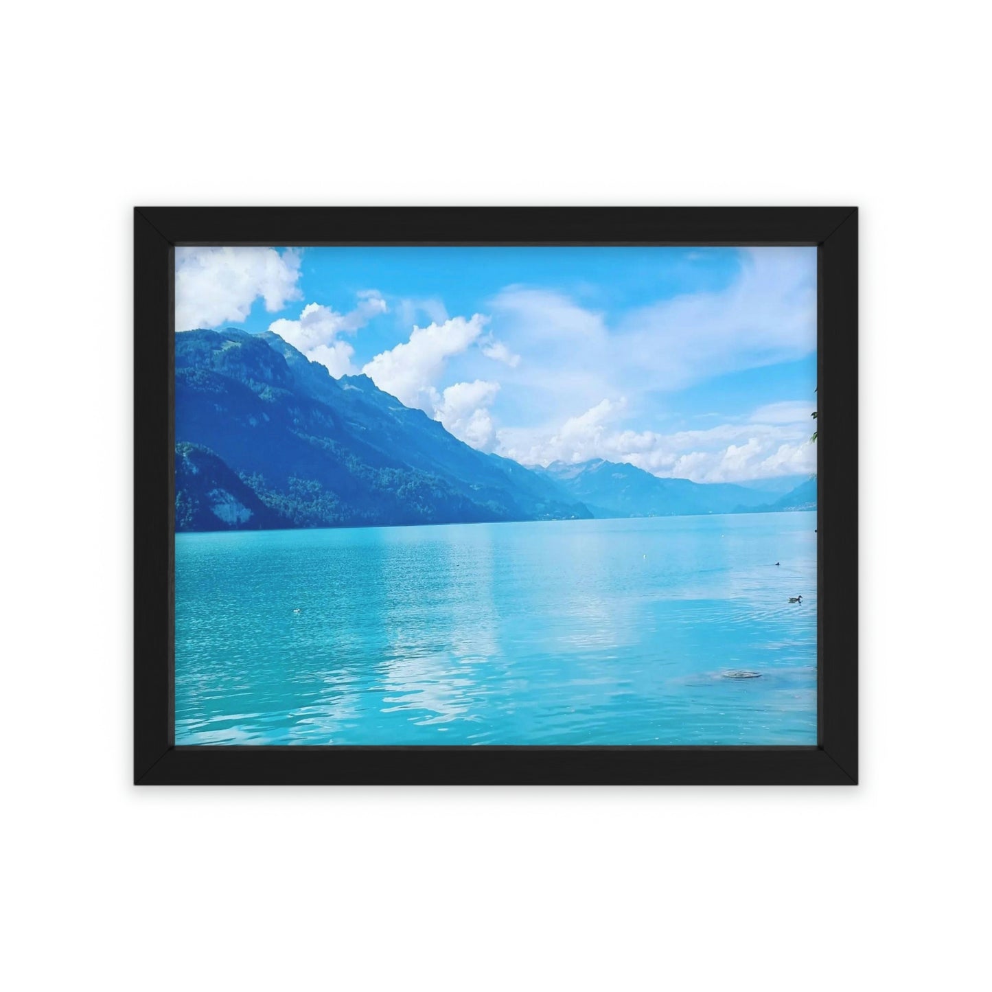 Lake Brienz | Switzerland | Framed Poster - All sizes