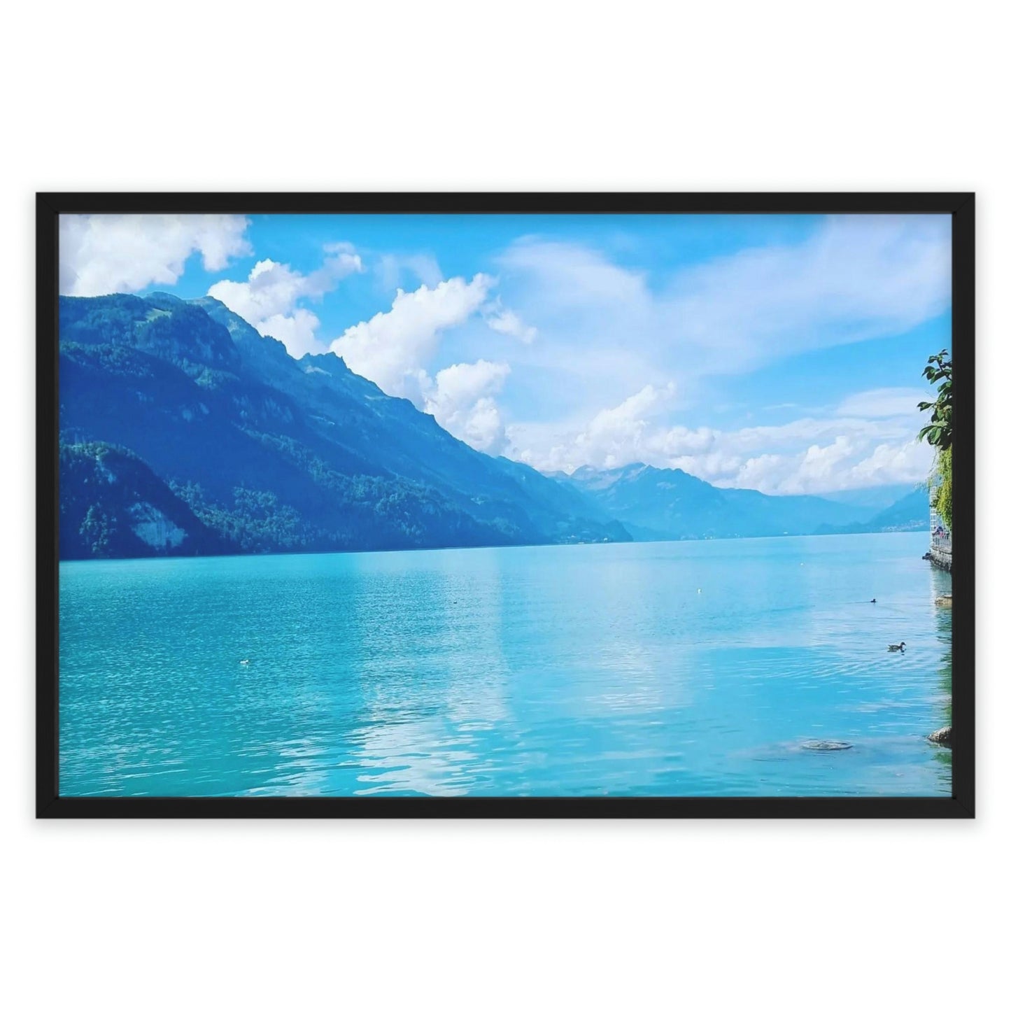 Lake Brienz | Switzerland | Framed Poster - All sizes