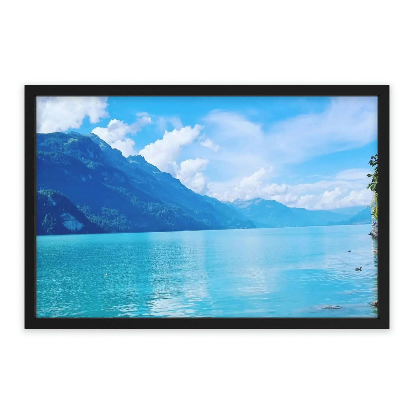 Lago de Brienz | Suiza | Póster enmarcado - Todos los tamaños