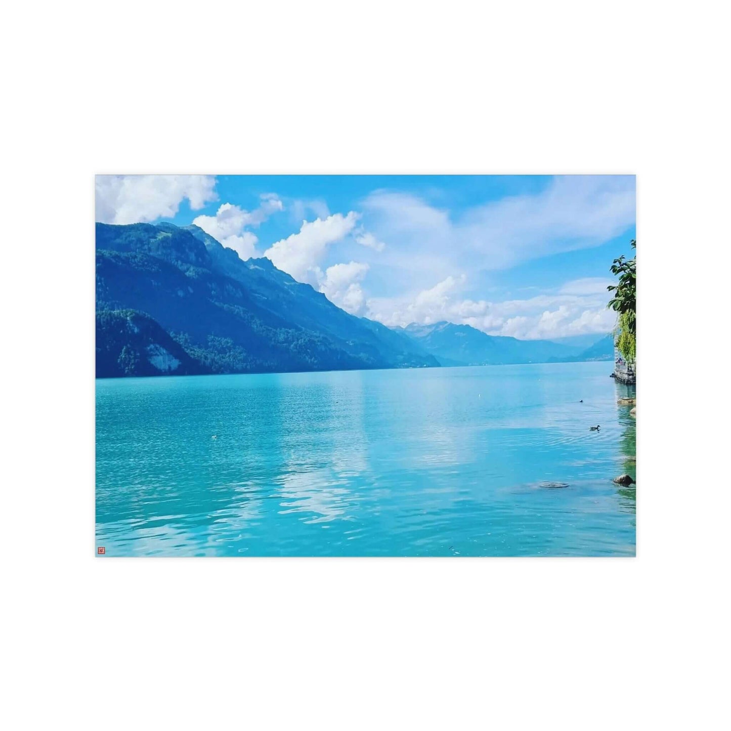 Lac de Brienz | Suisse | Affiches