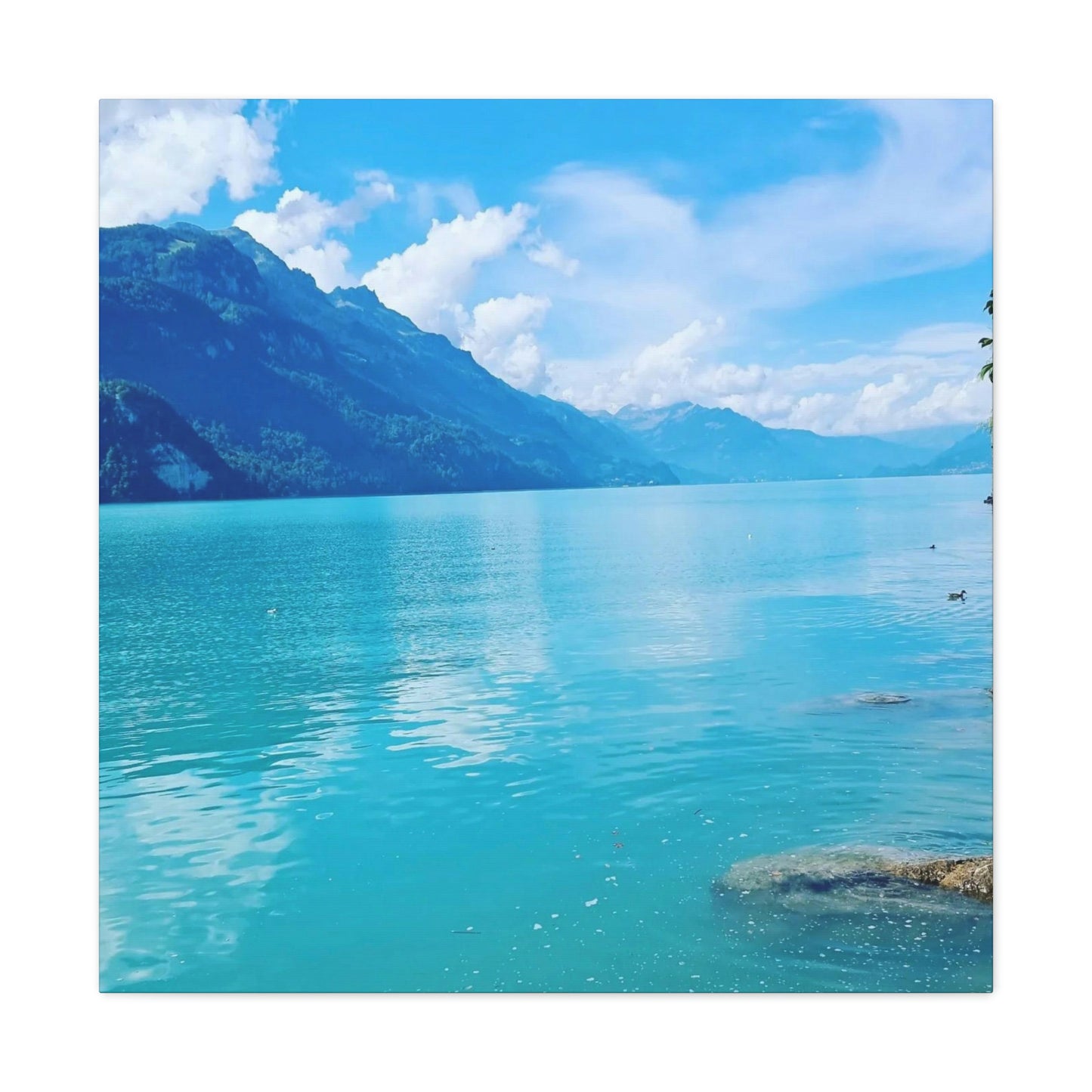 Lago de Brienz | Suiza | Lienzo