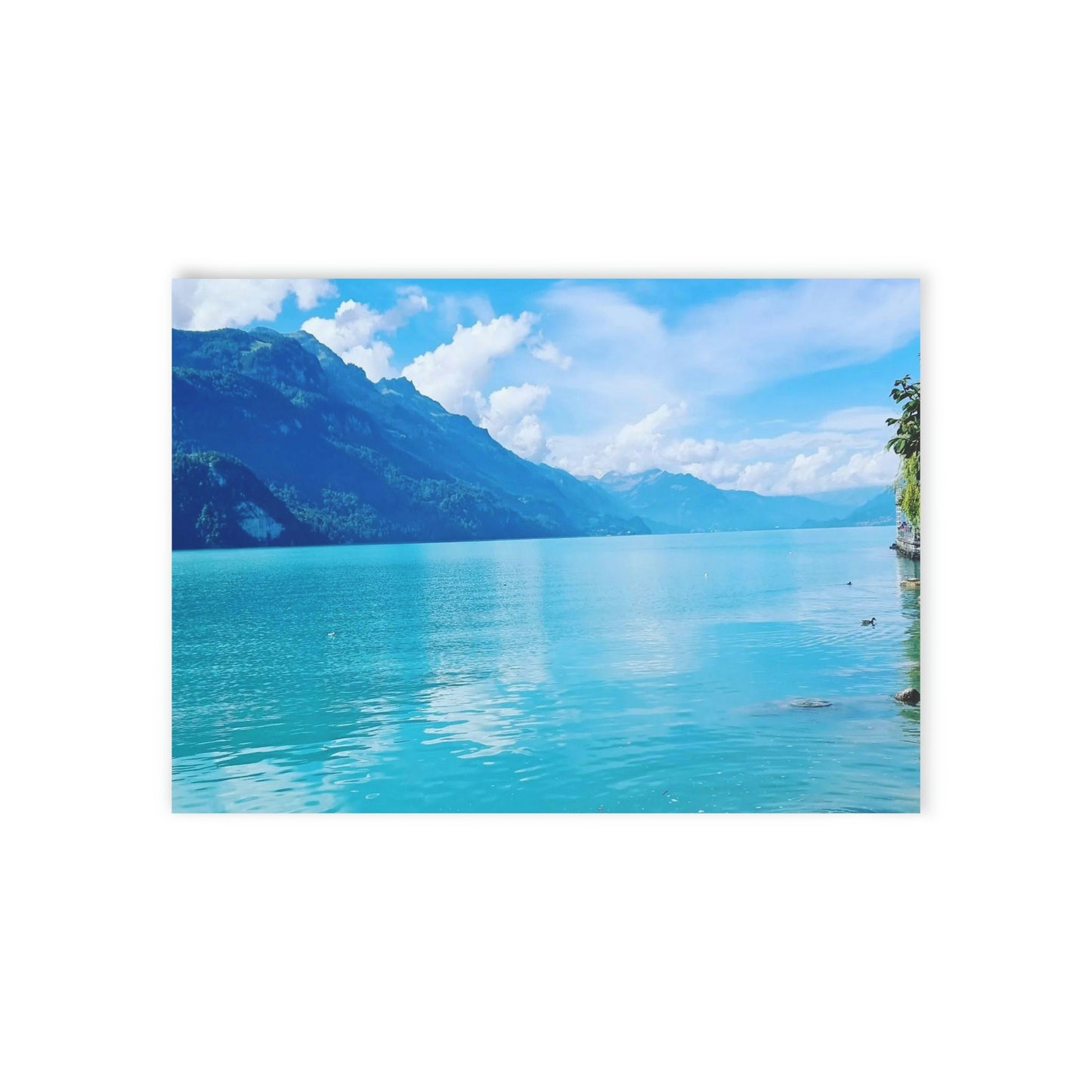 Lake Brienz | Switzerland | Holiday Cards