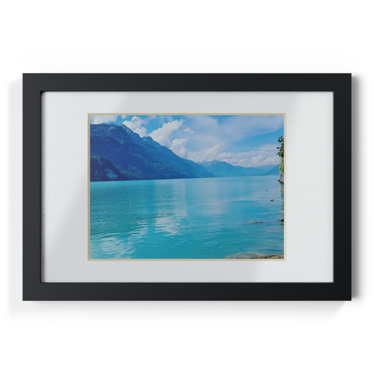 Lake Brienz | Switzerland | Framed Posters, Black