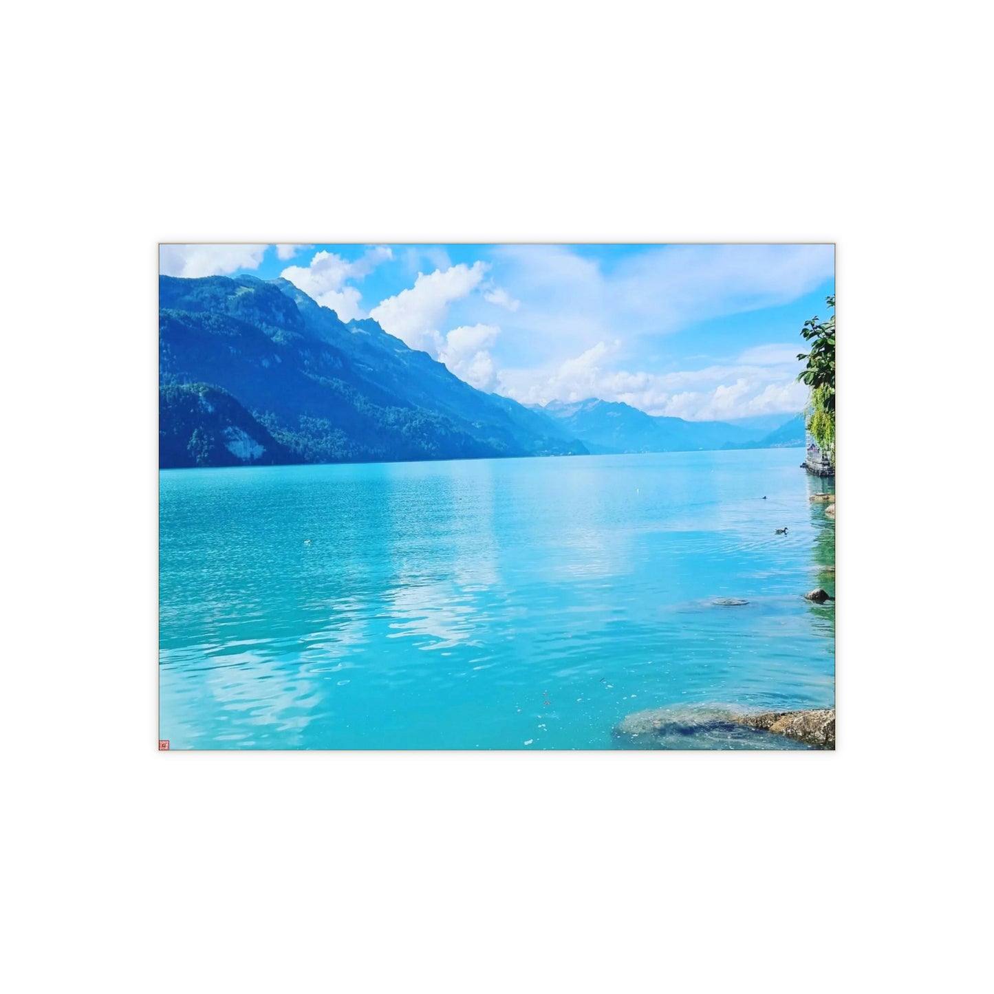 Lac de Brienz | Suisse | Carrelage photo en céramique